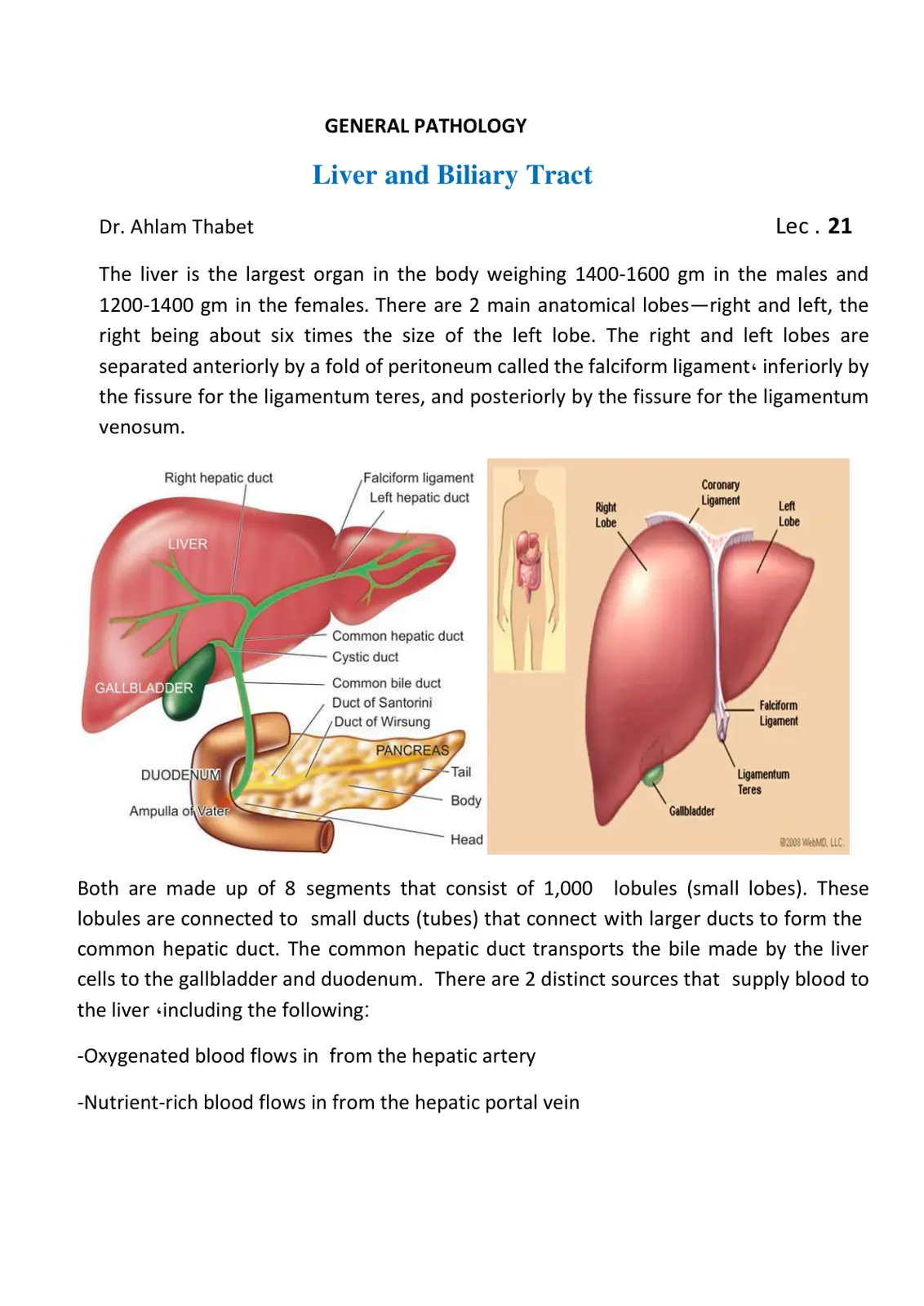 غلاف تقرير GENERAL PATHOLOGY Liver and Biliary Tract