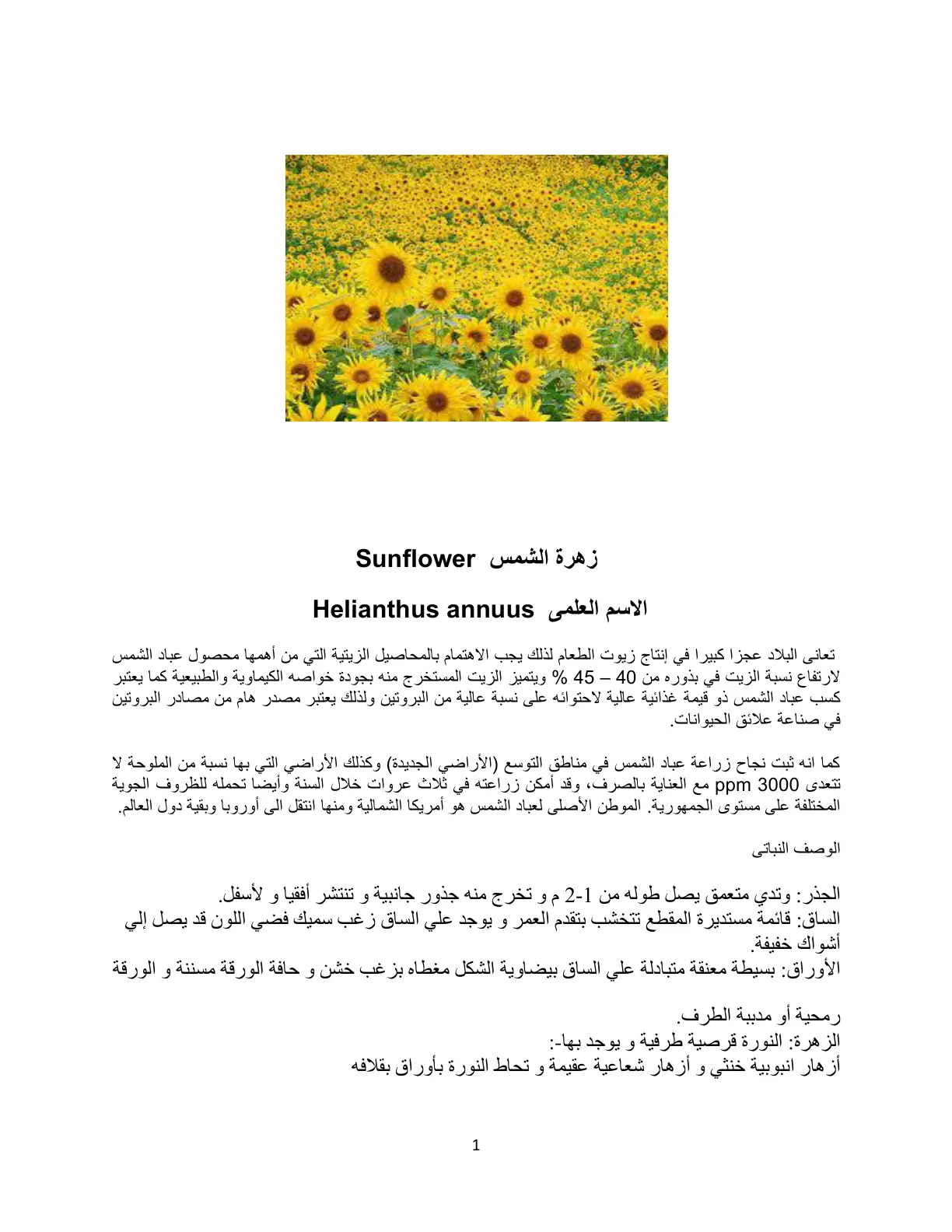 غلاف تقرير زهرة الشمس (Helianthus annuus)
