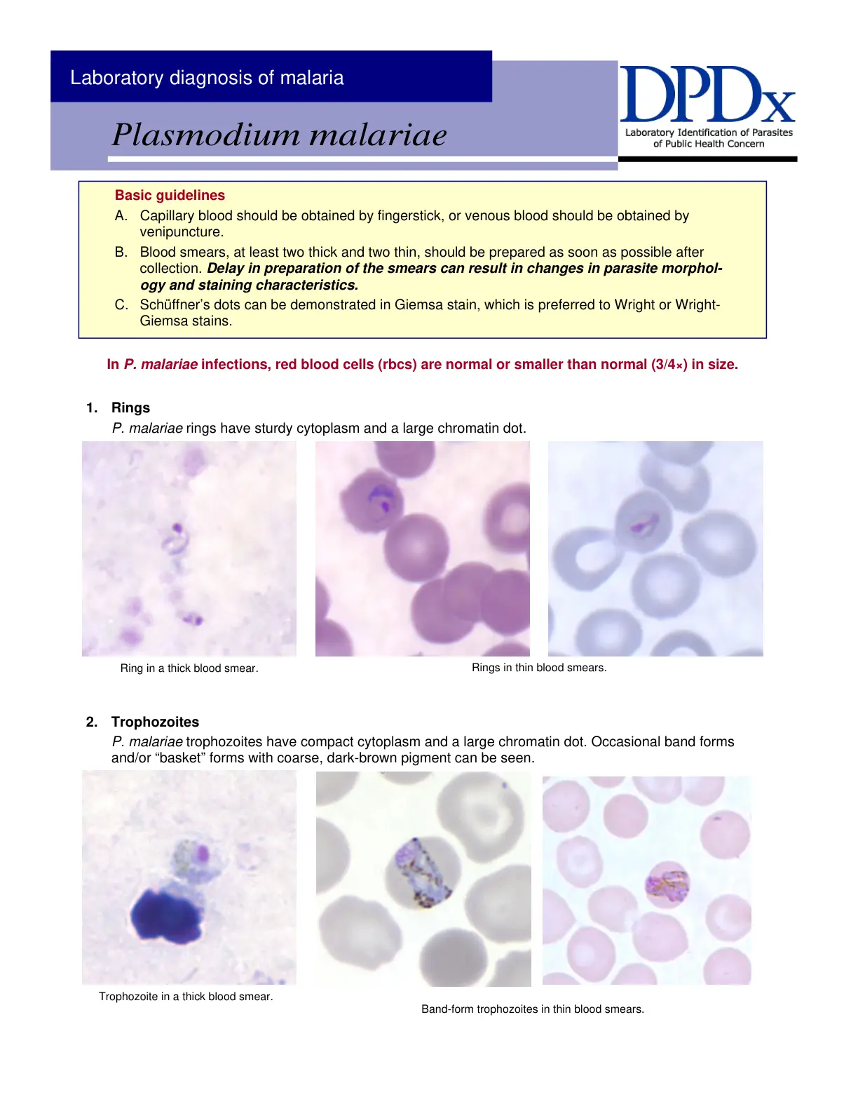 غلاف تقرير Laboratory diagnosis of malaria