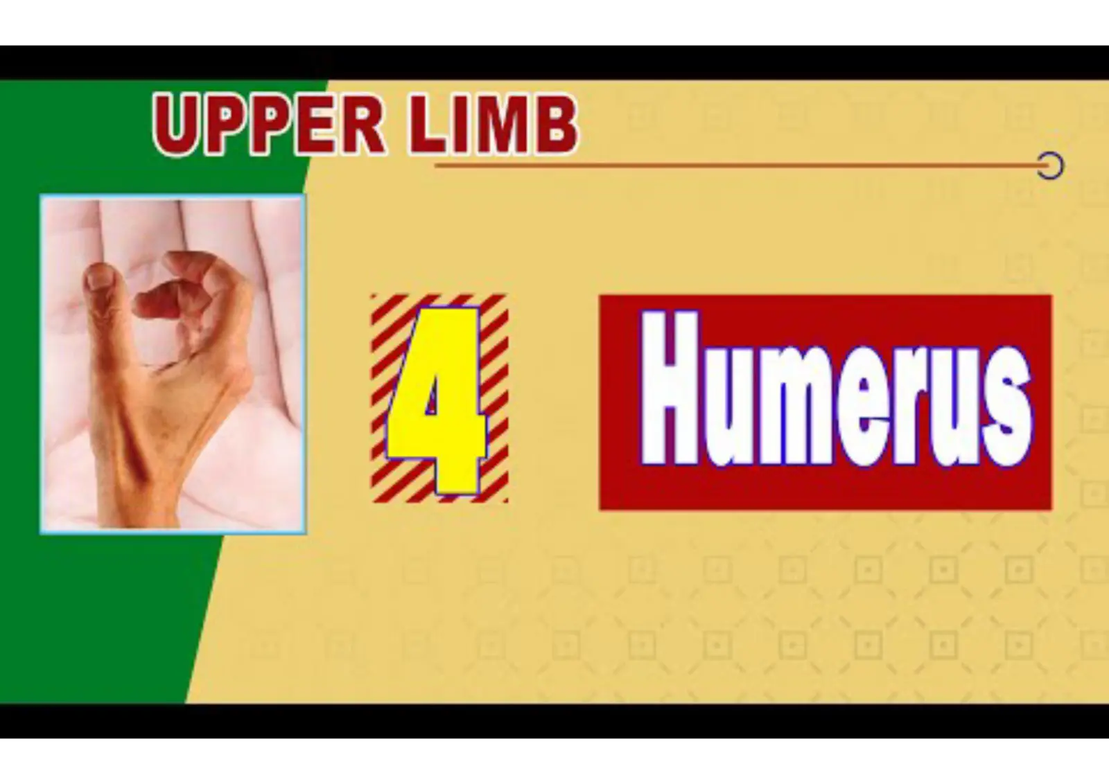 غلاف تقرير UPPER LIMB Humerus