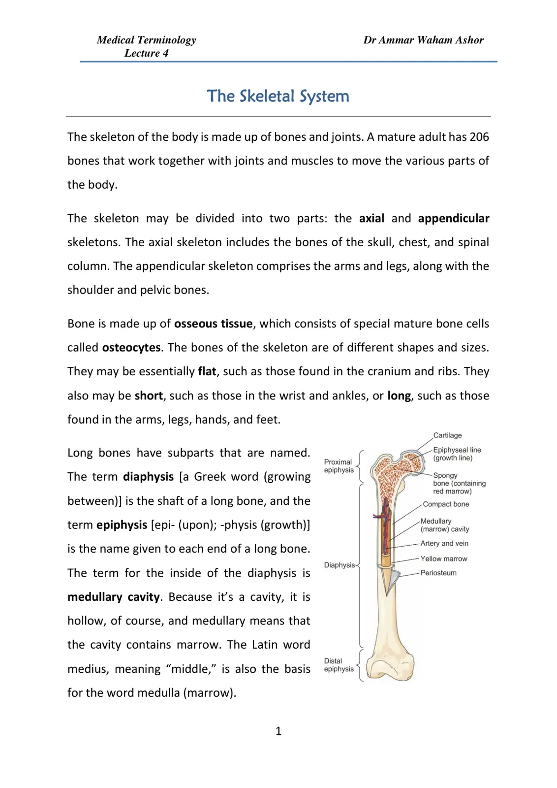 غلاف تقرير Medical Terminology Lecture 4: The Skeletal System