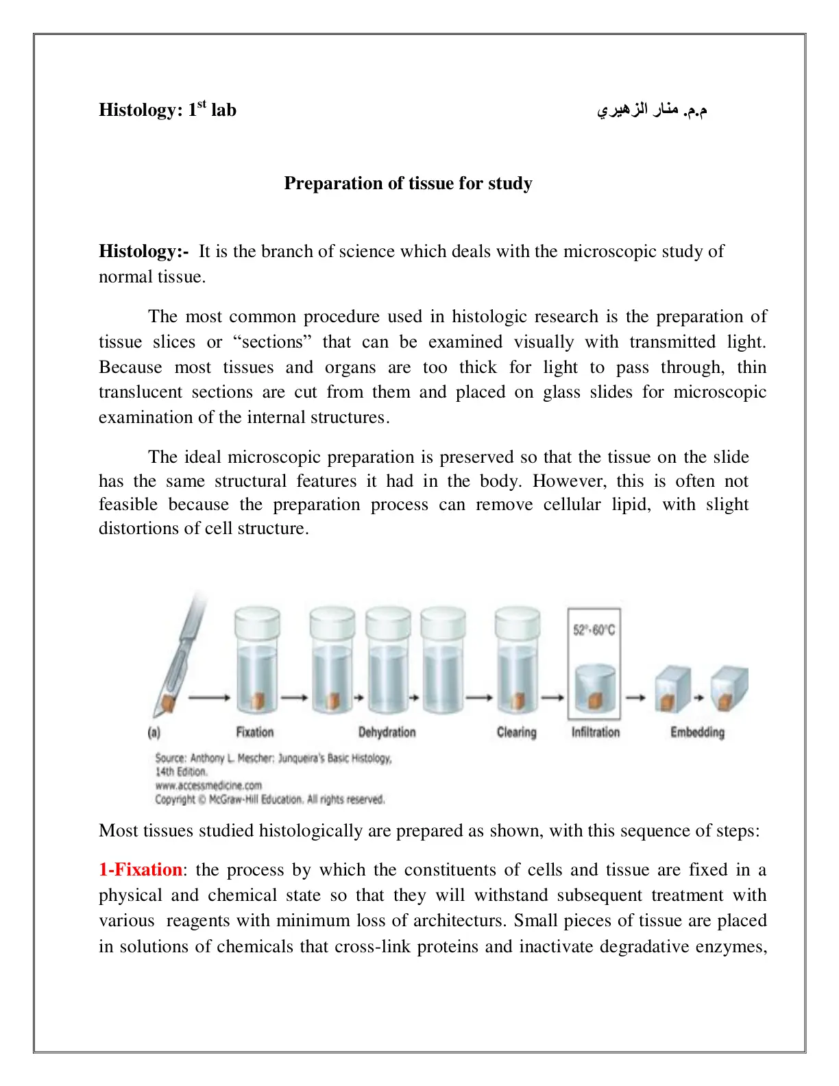 غلاف تقرير Histology: 1st lab - Preparation of tissue for study