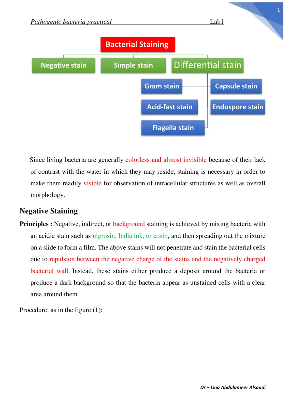 غلاف تقرير Pathogenic Bacteria Practical - Bacterial Staining