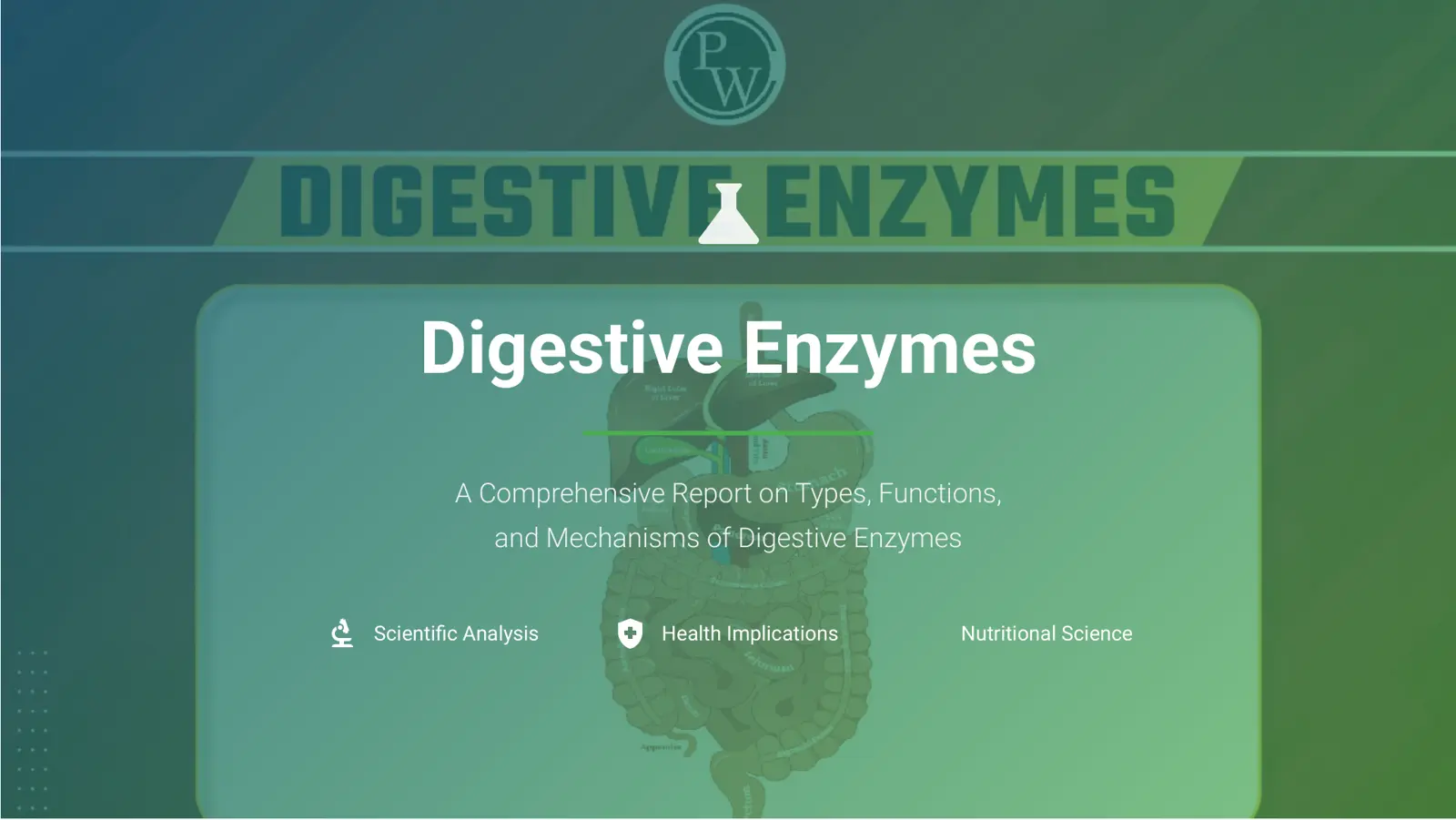 غلاف تقرير Digestive Enzymes