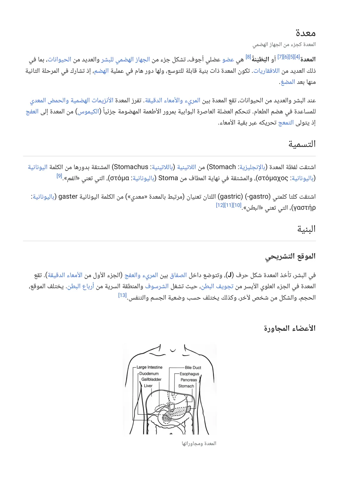 غلاف تقرير المعدة كجزء من الجهاز الهضمي