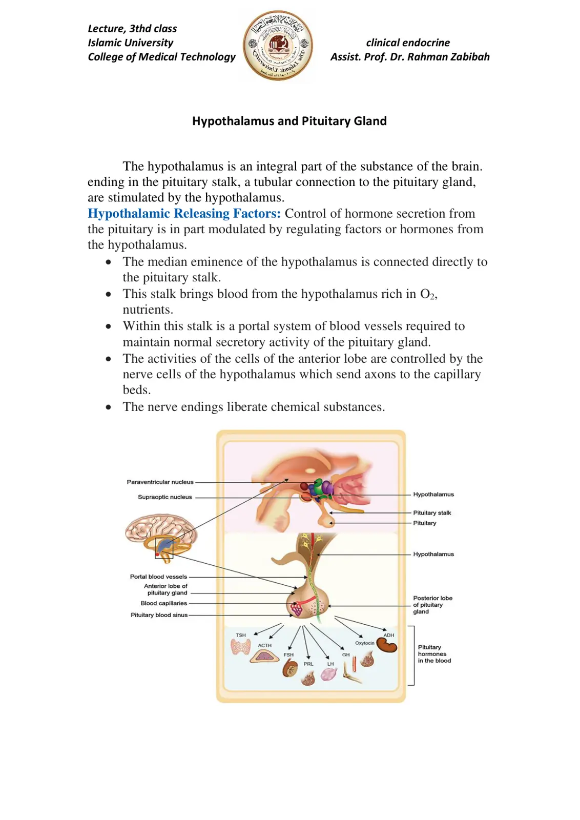 غلاف تقرير Hypothalamus and Pituitary Gland