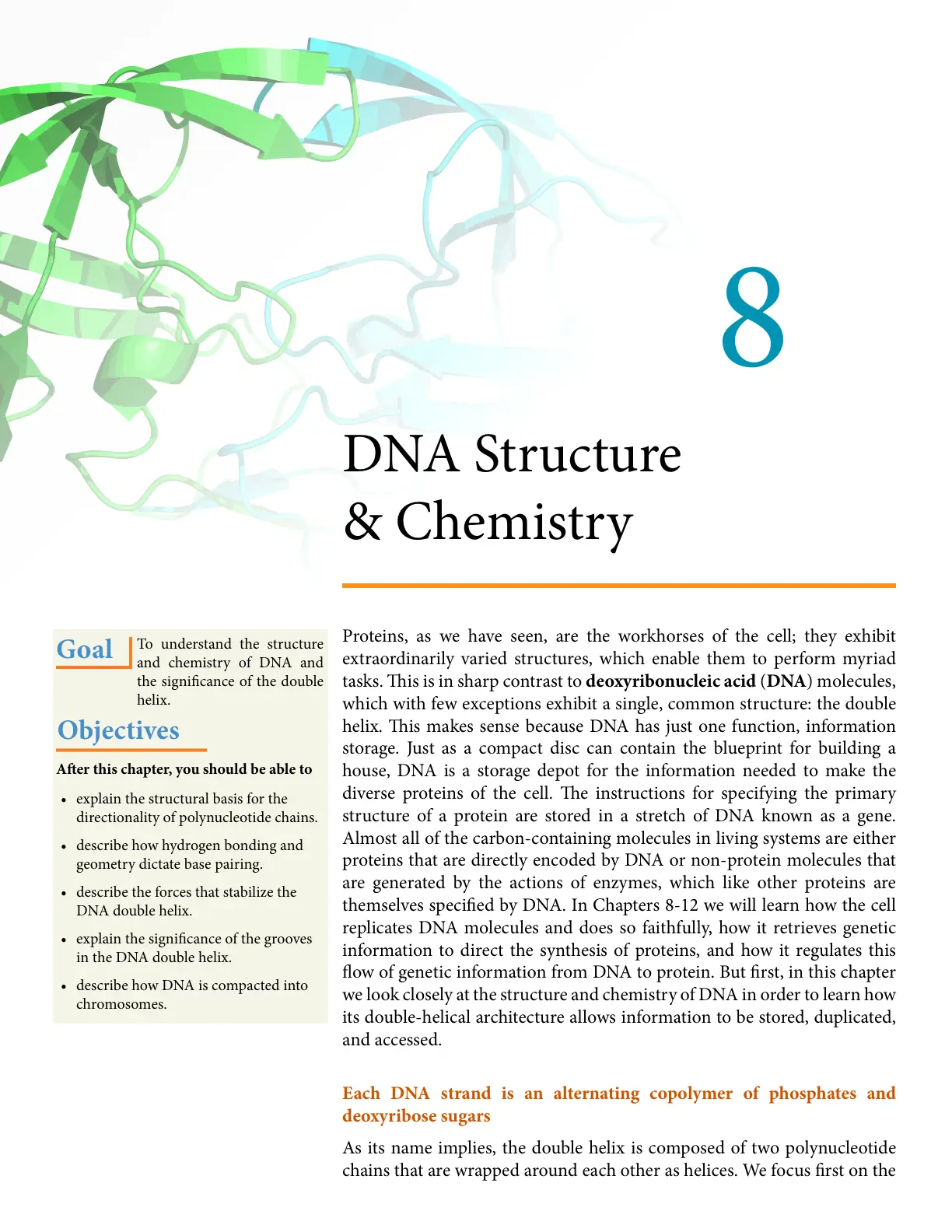 غلاف تقرير DNA Structure & Chemistry