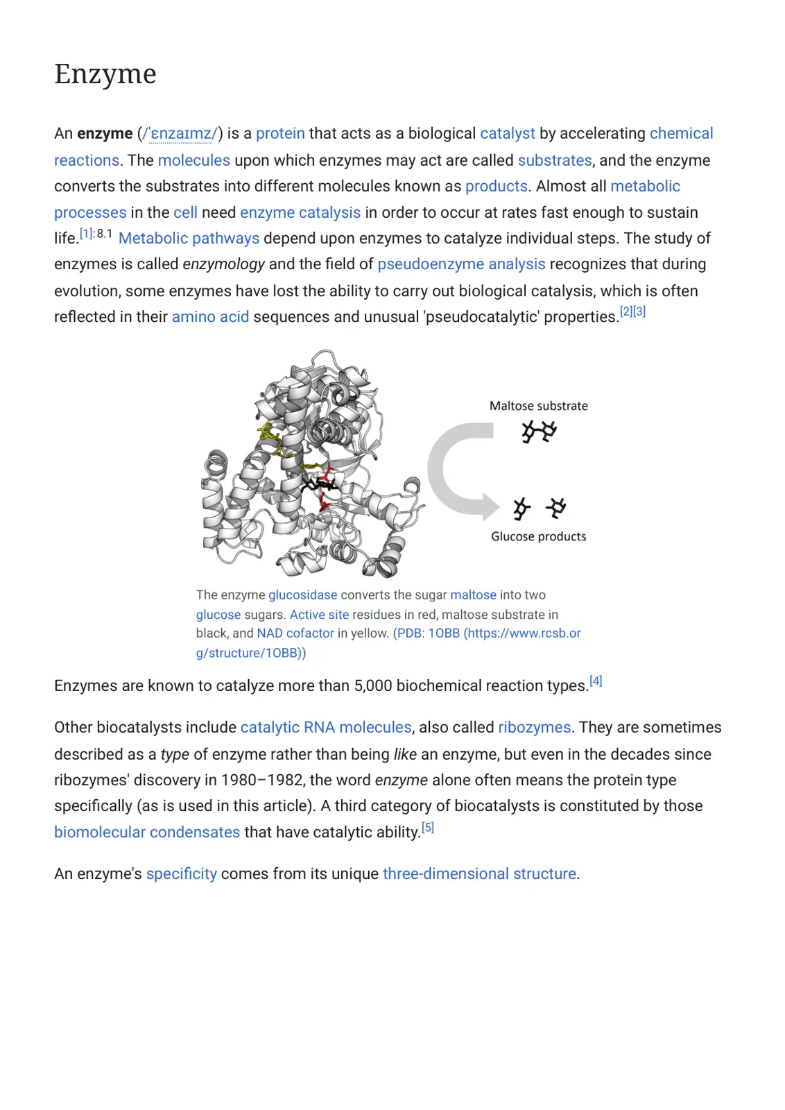 غلاف تقرير Enzyme