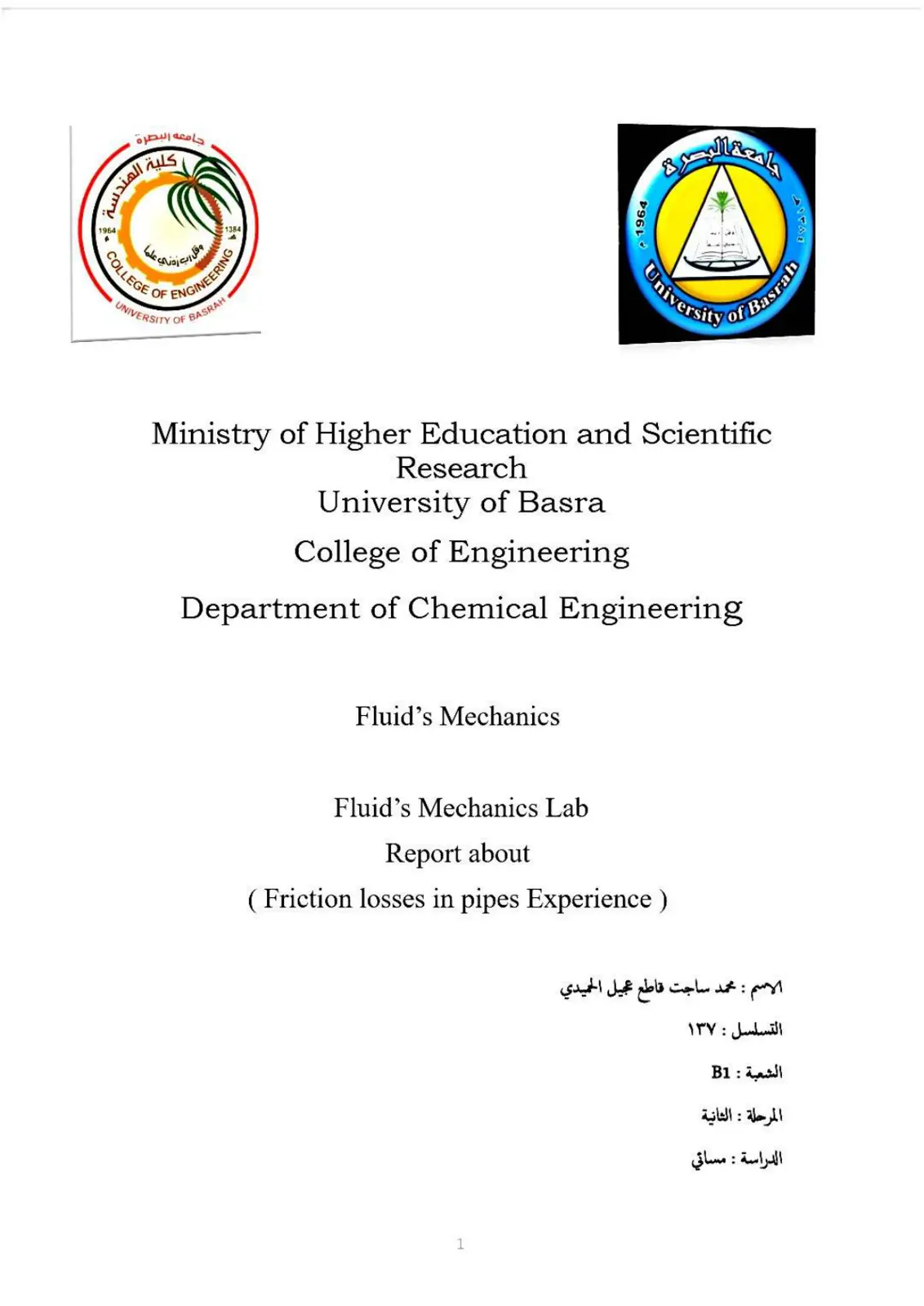 غلاف تقرير Friction losses in pipes Experience