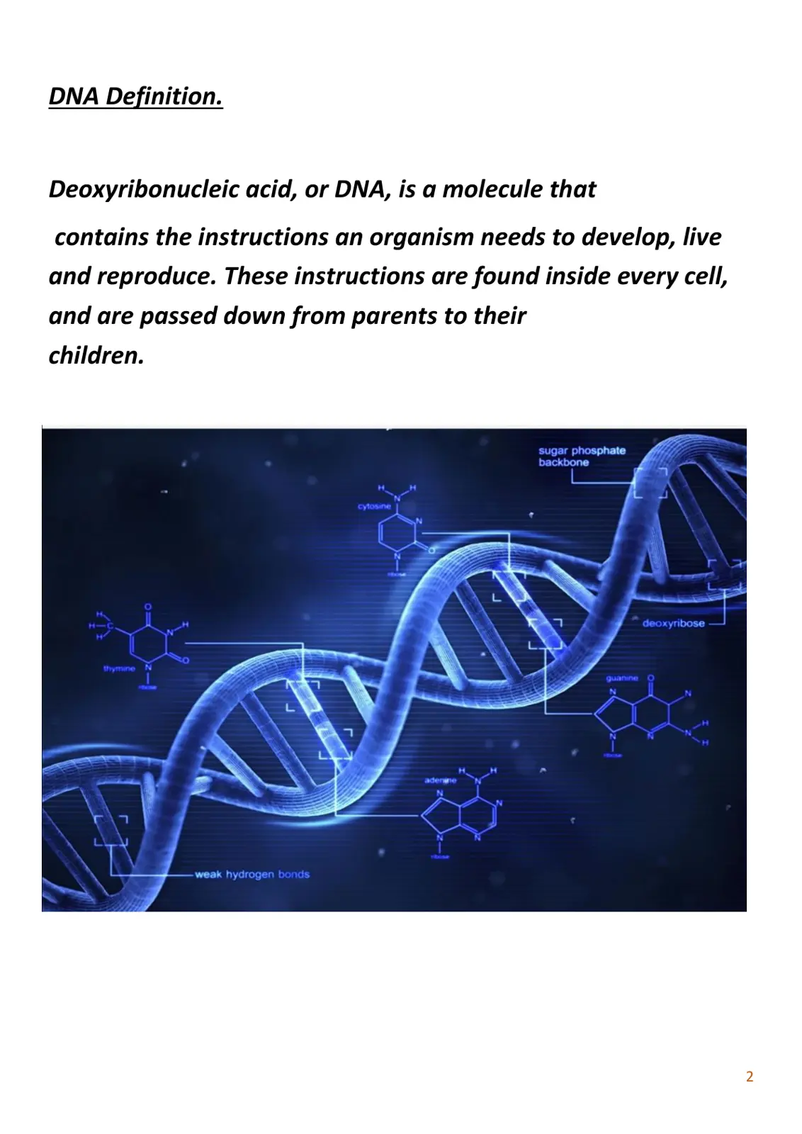 غلاف تقرير DNA Definition