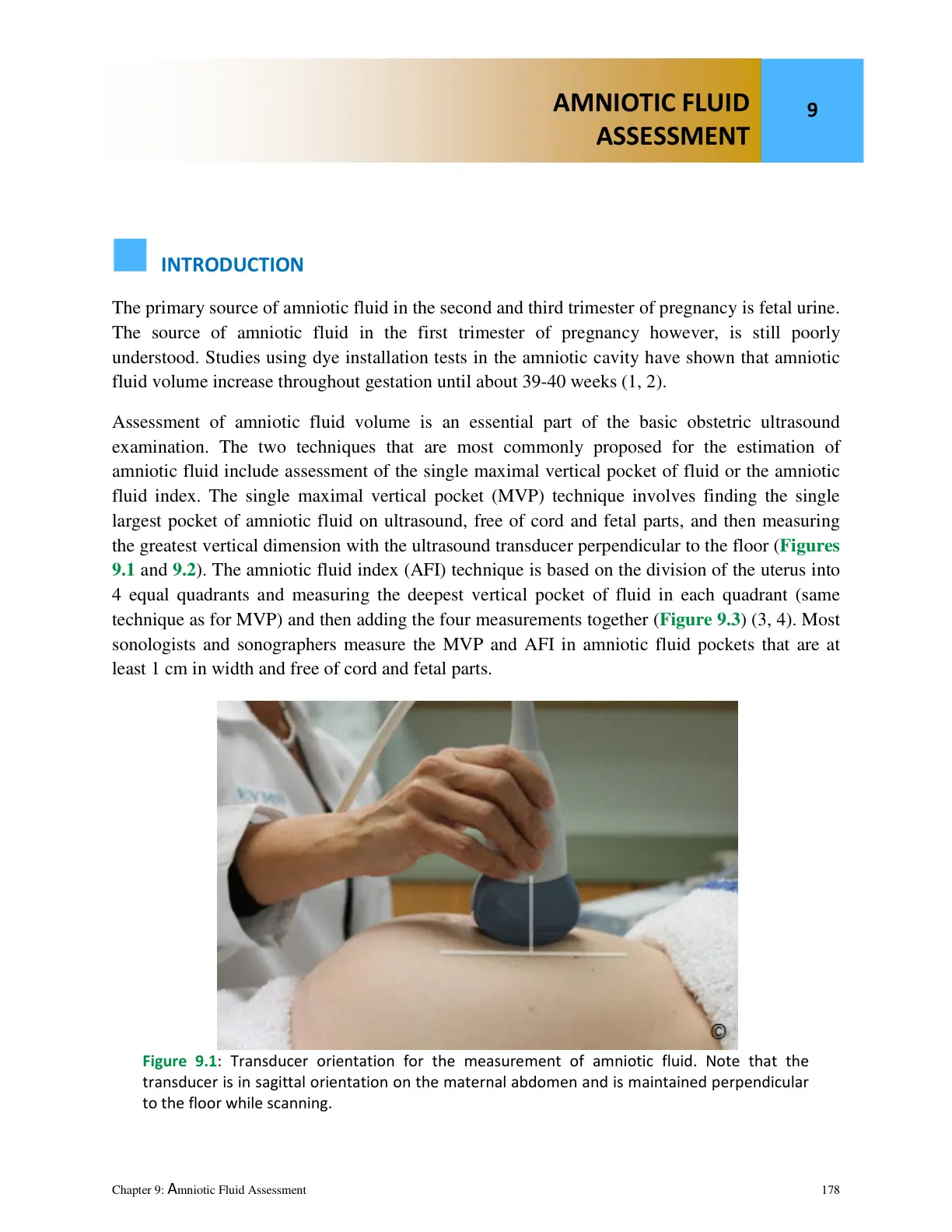 غلاف تقرير AMNIOTIC FLUID ASSESSMENT