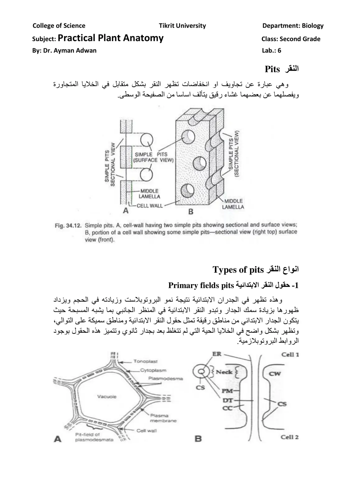 غلاف تقرير A – Practical Plant Anatomy Lab 6: Pits
