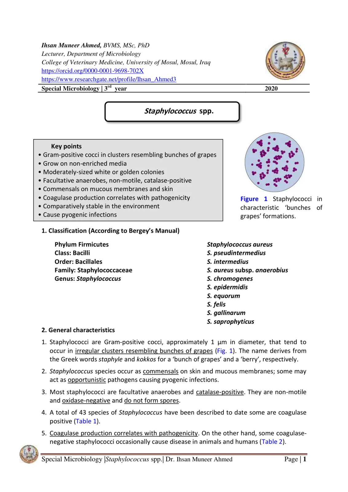 غلاف تقرير Staphylococcus spp.