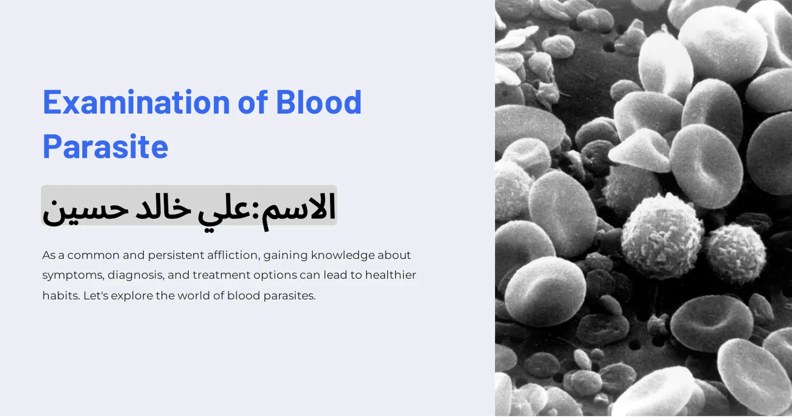 غلاف تقرير Examination of Blood Parasite