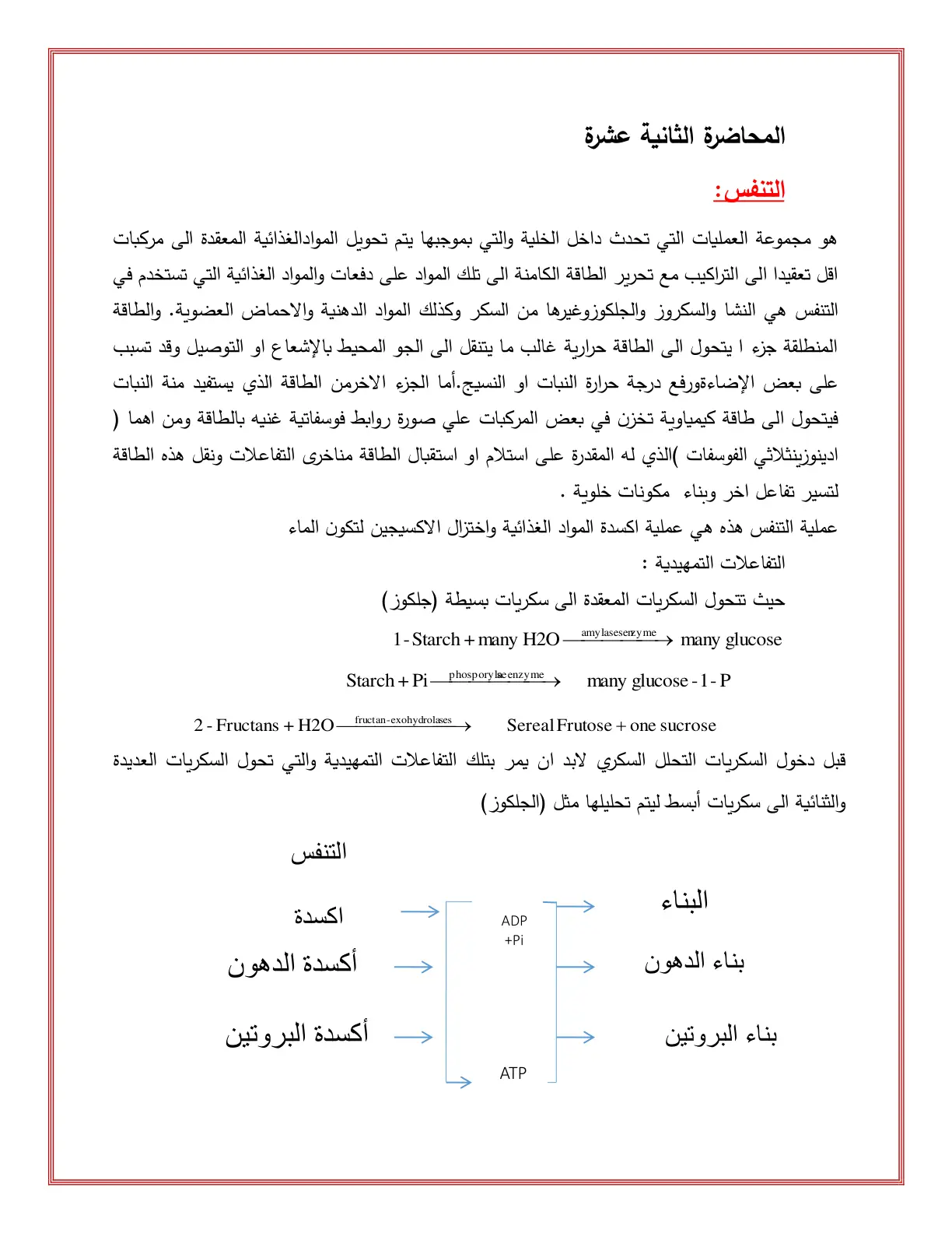 غلاف تقرير المحاضرة الثانية عشرة: التنفس