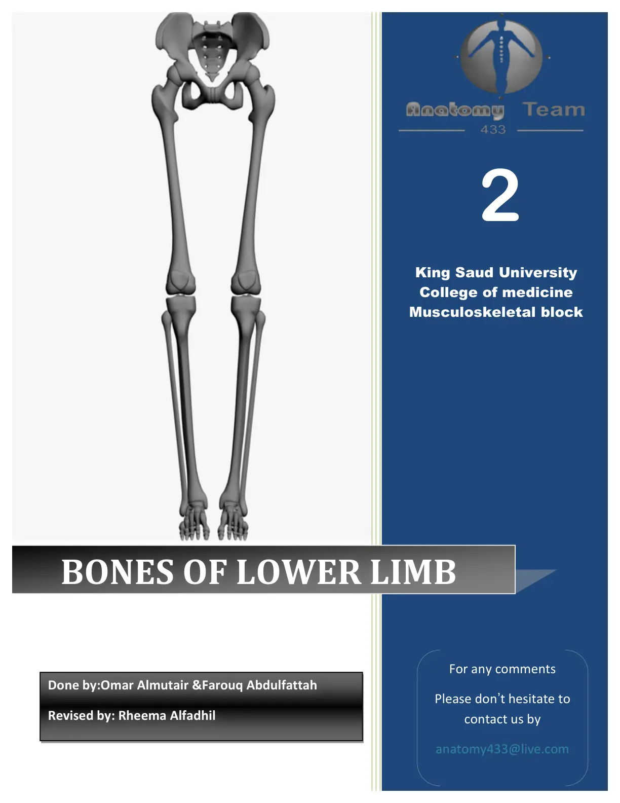 غلاف تقرير BONES OF LOWER LIMB