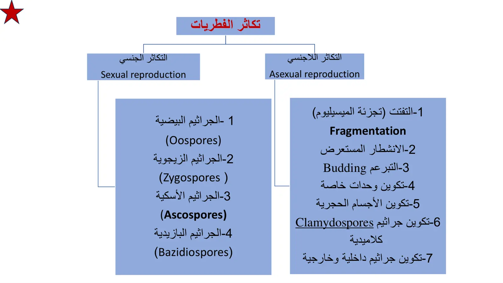 غلاف تقرير التكاثر اللاجنسي