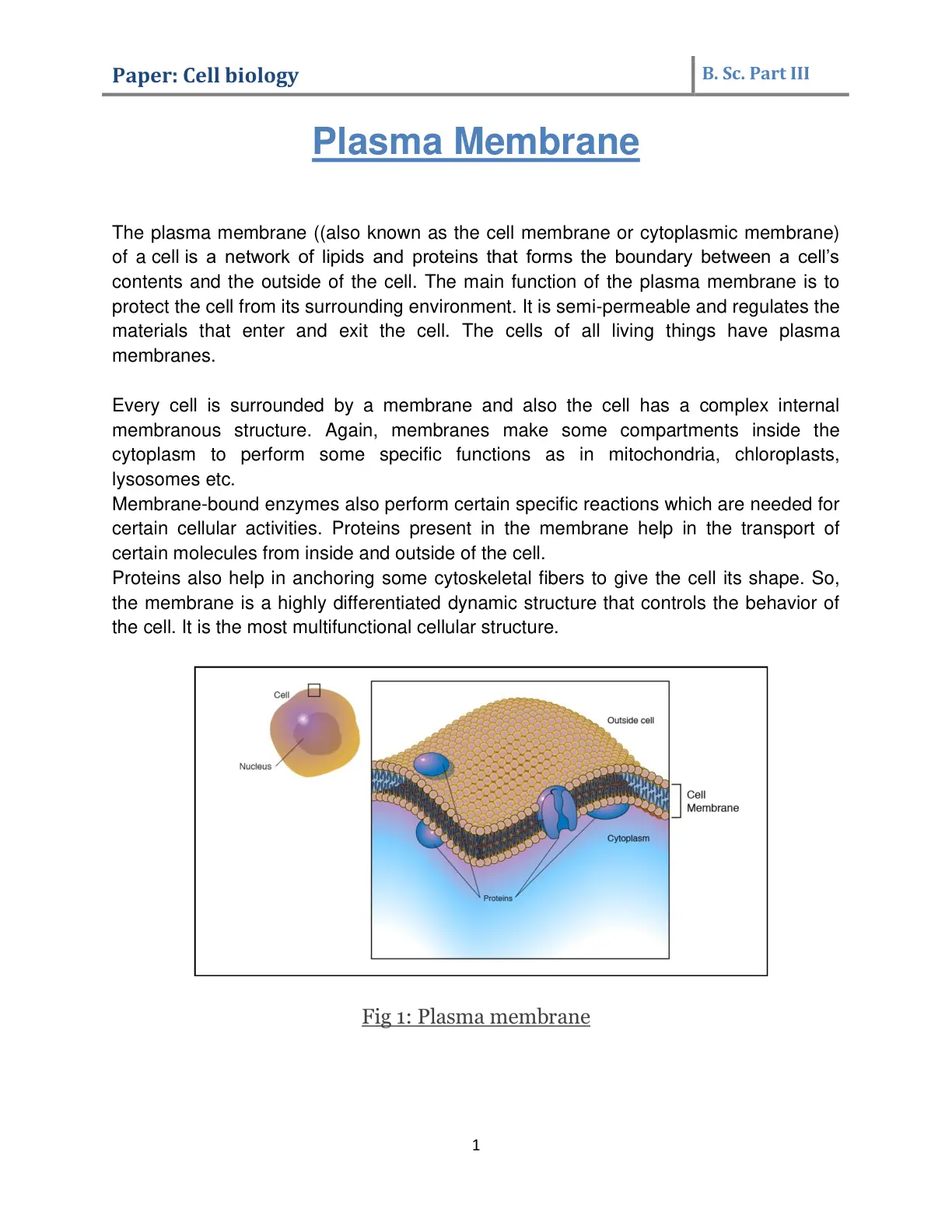 غلاف تقرير Cell Biology: Plasma Membrane