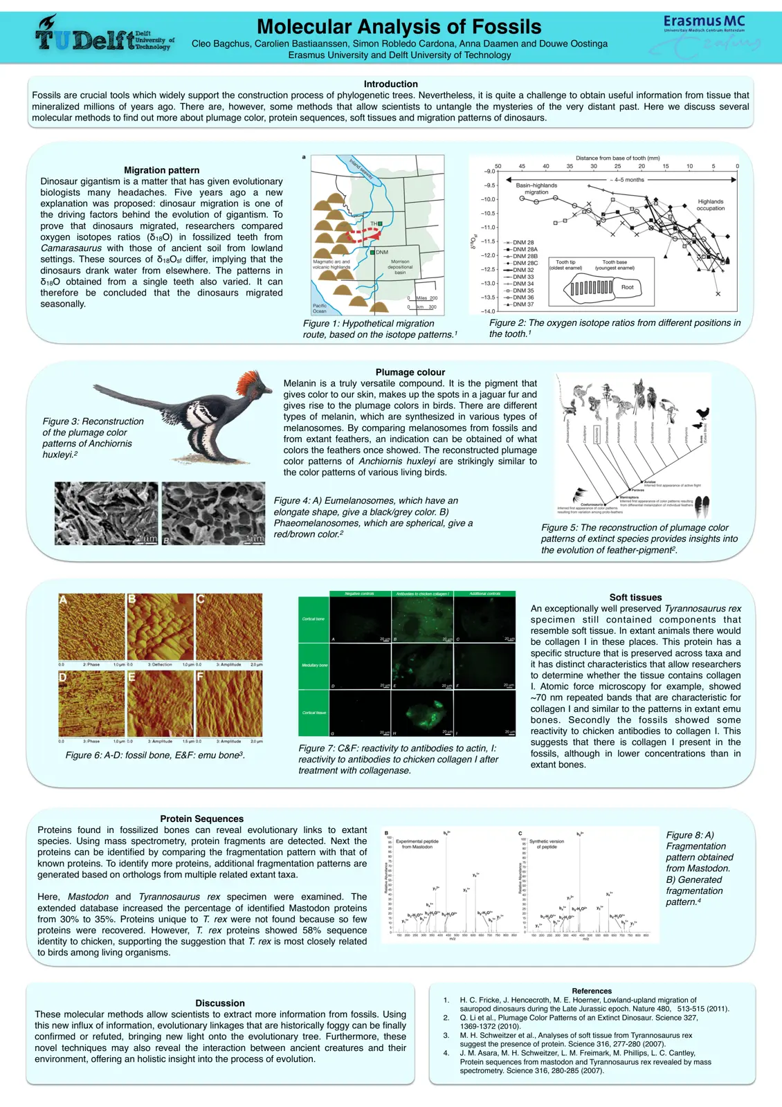 غلاف تقرير Molecular Analysis of Fossils