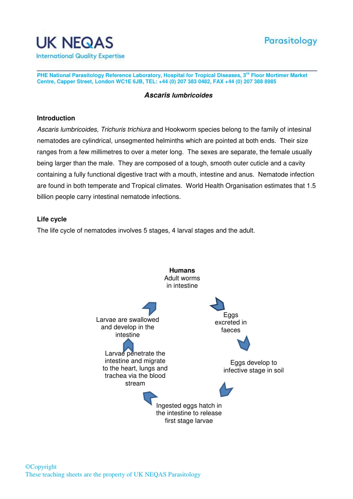 غلاف تقرير Parasitology: Ascaris lumbricoides