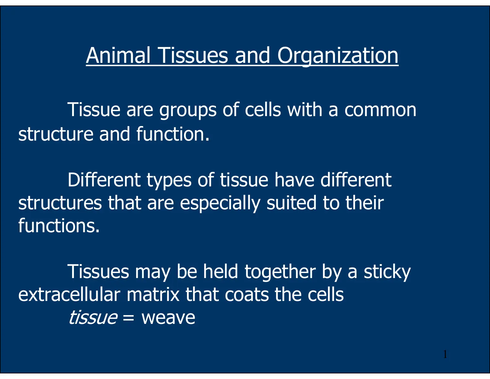 غلاف تقرير Animal Tissues and Organization