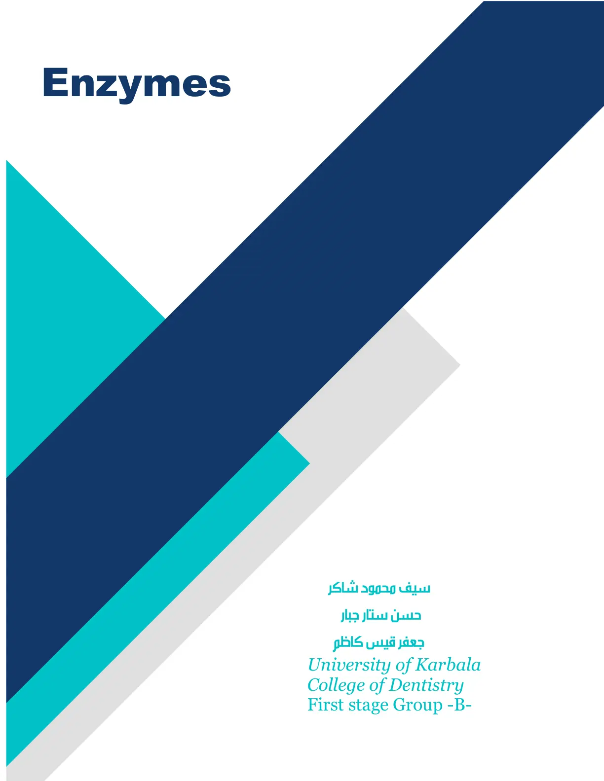 غلاف تقرير Enzymes