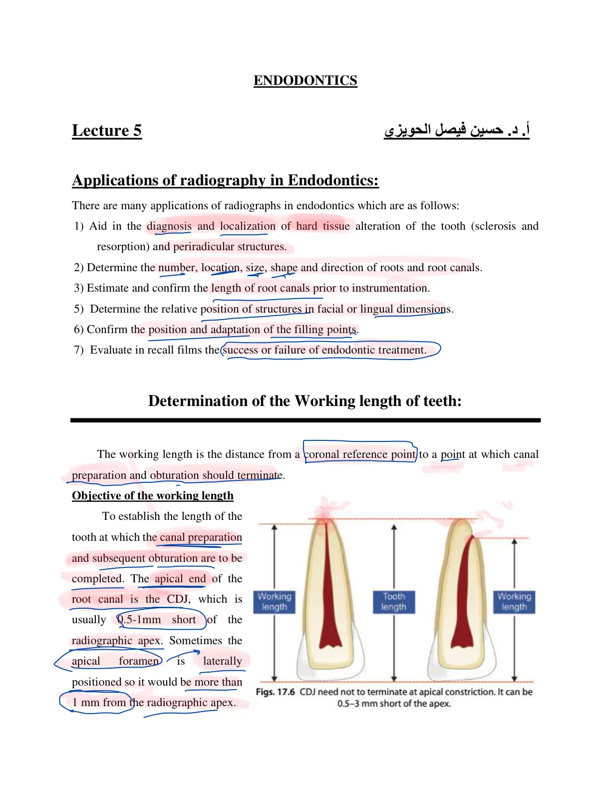غلاف تقرير Applications of Radiography in Endodontics