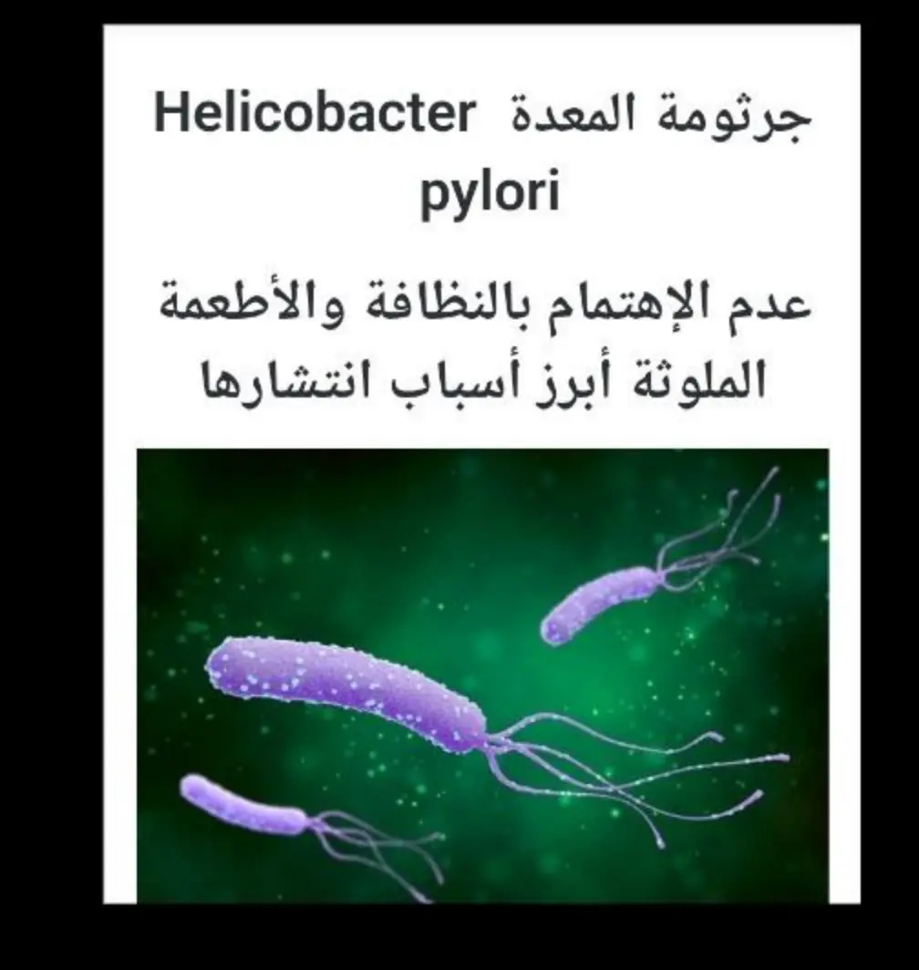 غلاف تقرير جرثومة المعدة Helicobacter pylori