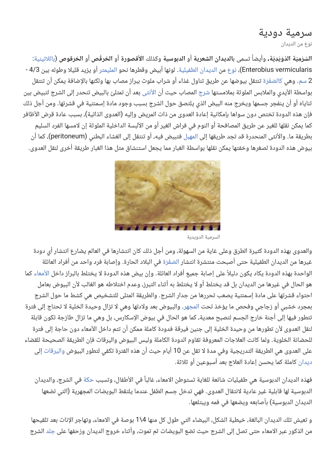 غلاف تقرير السرمِيّة الدُوَيْدِيَة