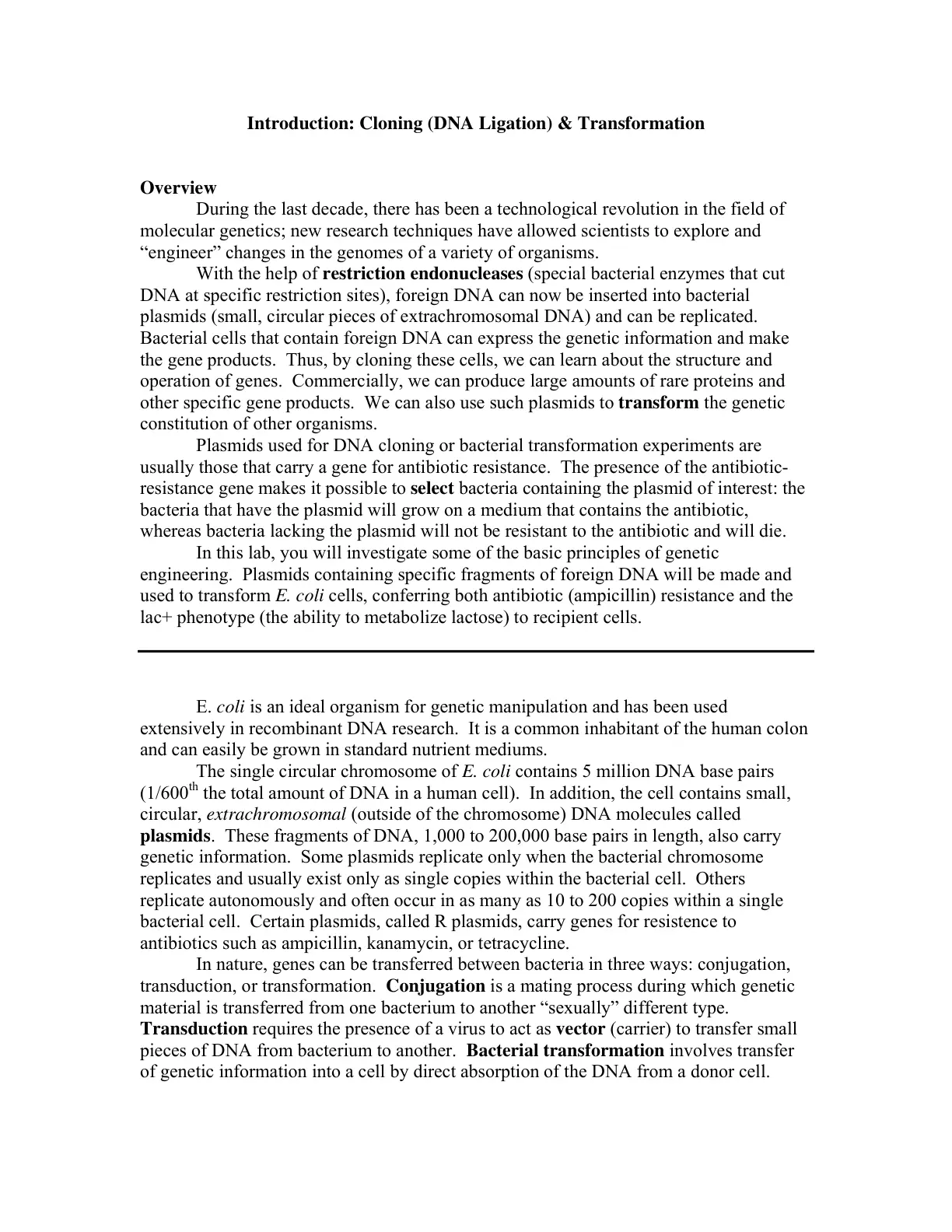 غلاف تقرير Introduction: Cloning (DNA Ligation) & Transformation