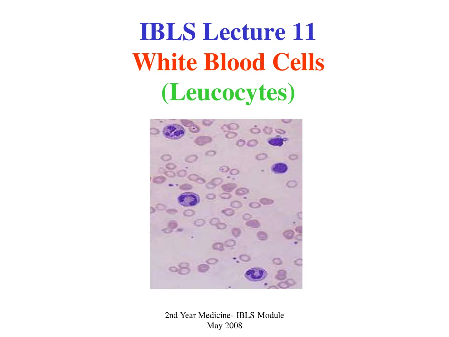غلاف تقرير IBLS Lecture 11: White Blood Cells (Leucocytes)