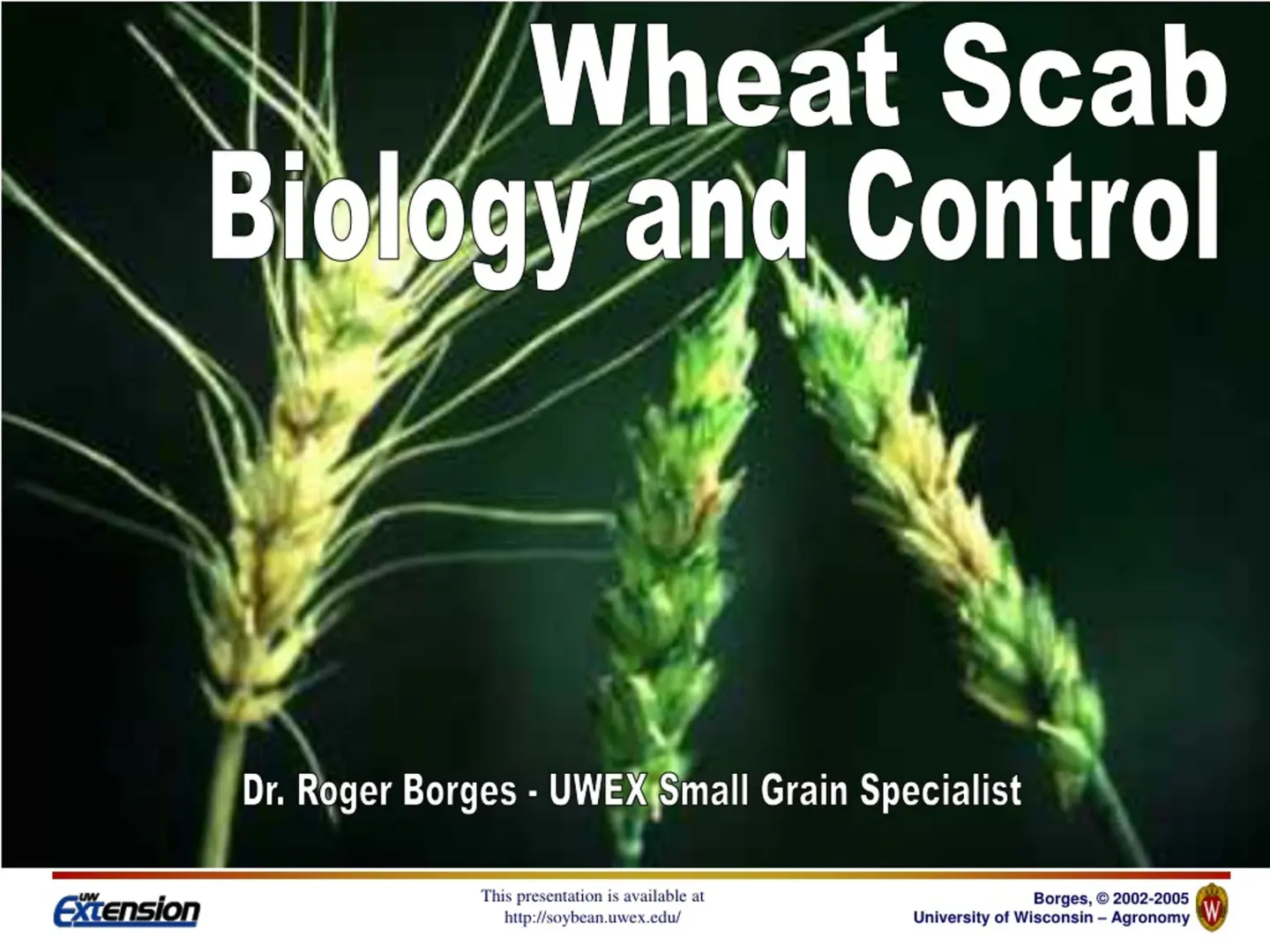 غلاف تقرير Extension Wheat Scab Biology and Control
