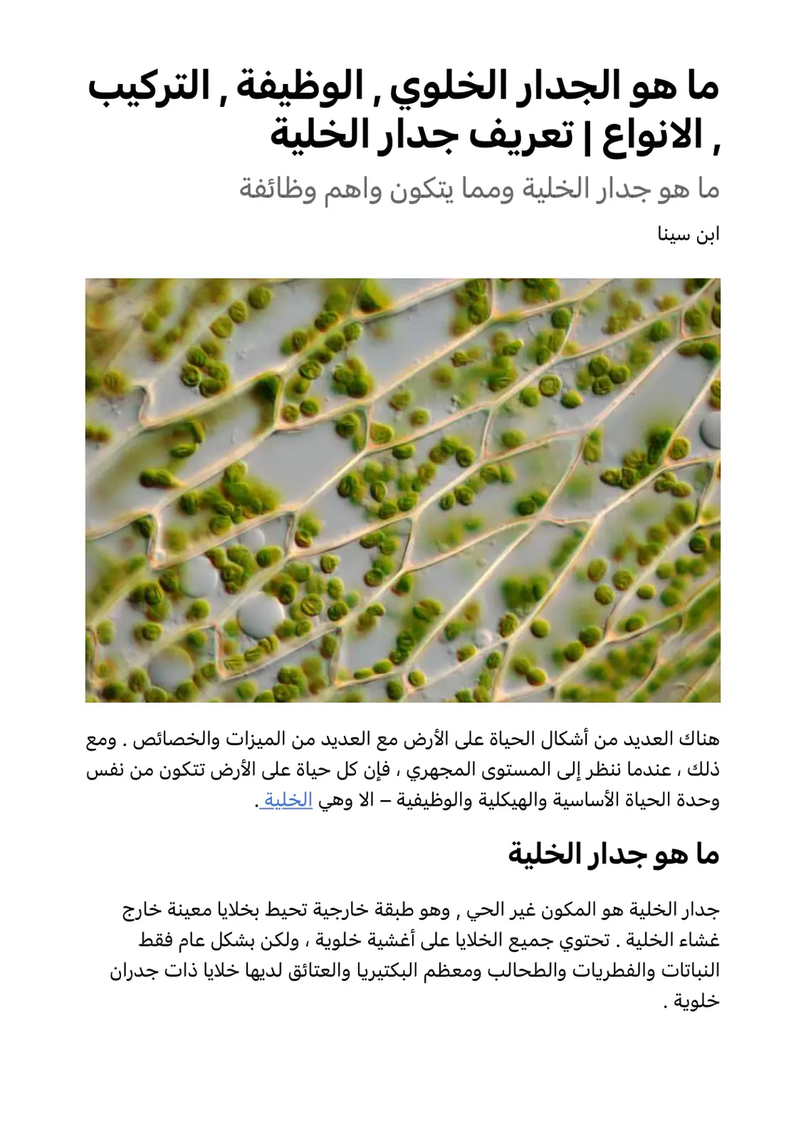 غلاف تقرير ما هو الجدار الخلوي؟ الوظيفة، التركيب، الأنواع
