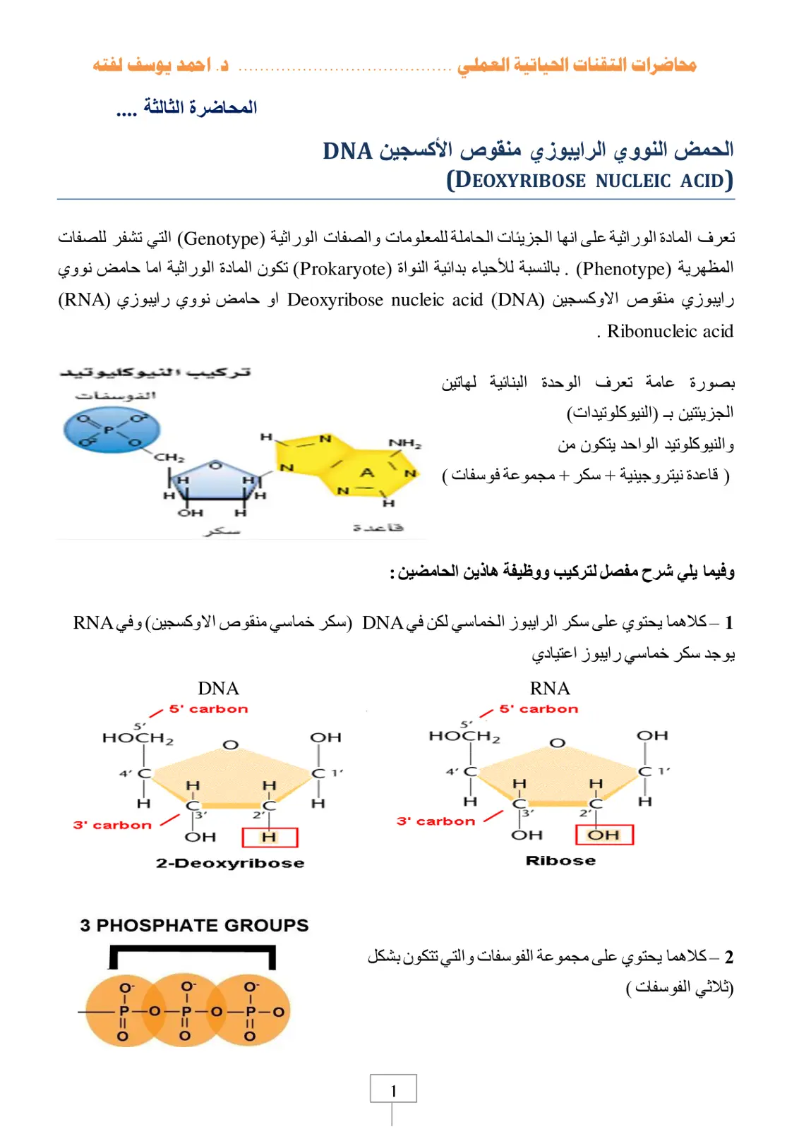 غلاف تقرير الحمض النووي الرايبوزي منقوص الأكسجين DNA