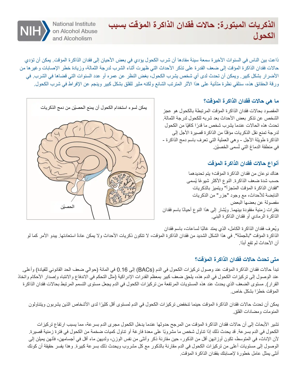 غلاف تقرير الذكريات المبتورة: حالات فقدان الذاكرة المؤقت بسبب الكحول