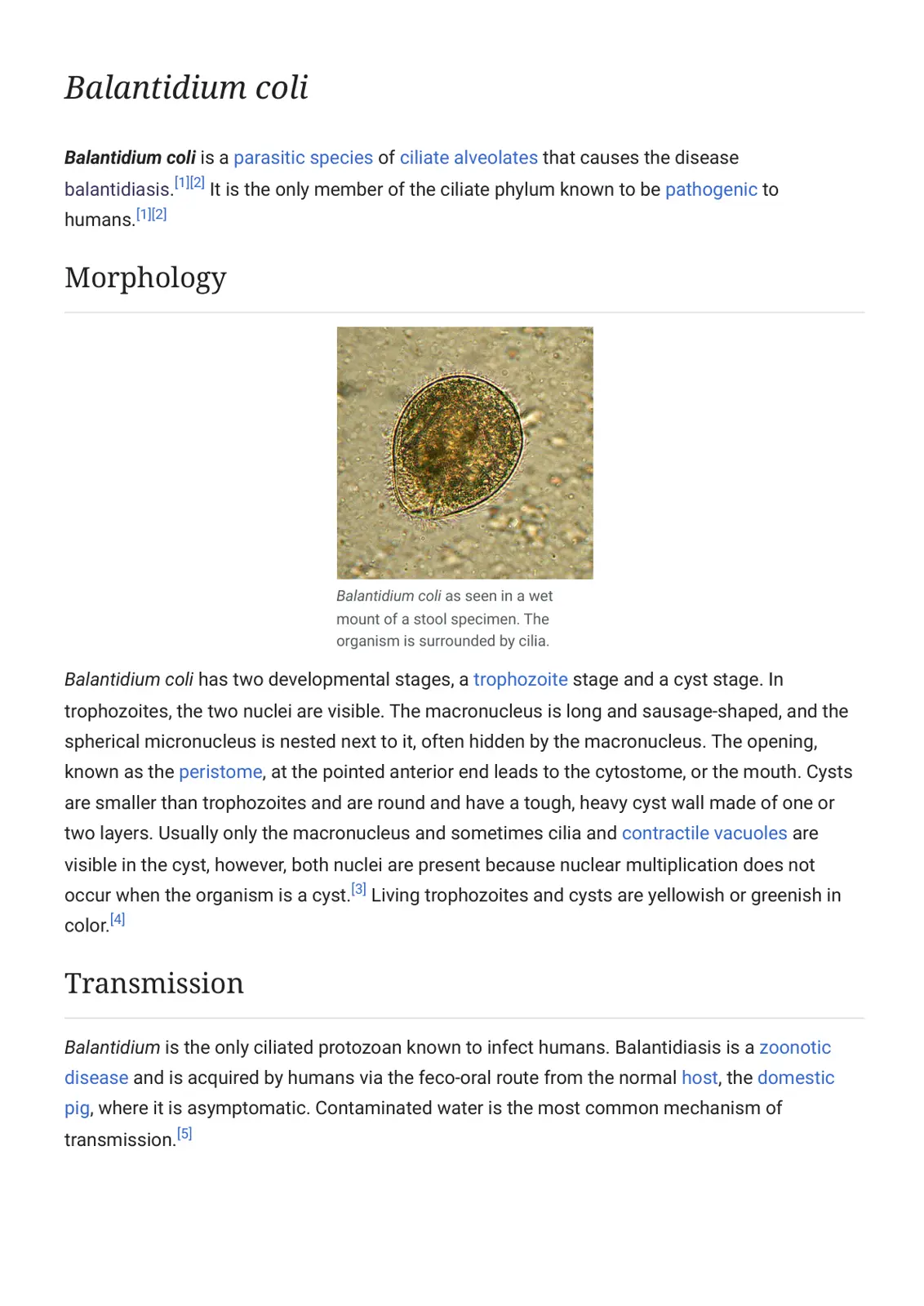 غلاف تقرير Balantidium coli