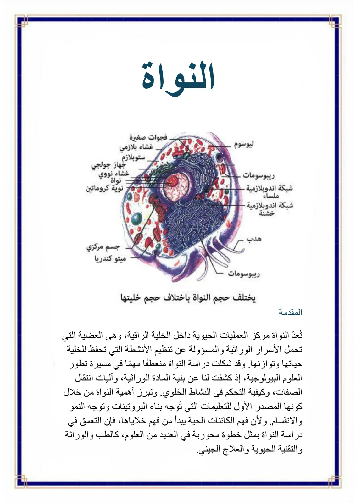 غلاف تقرير النواة