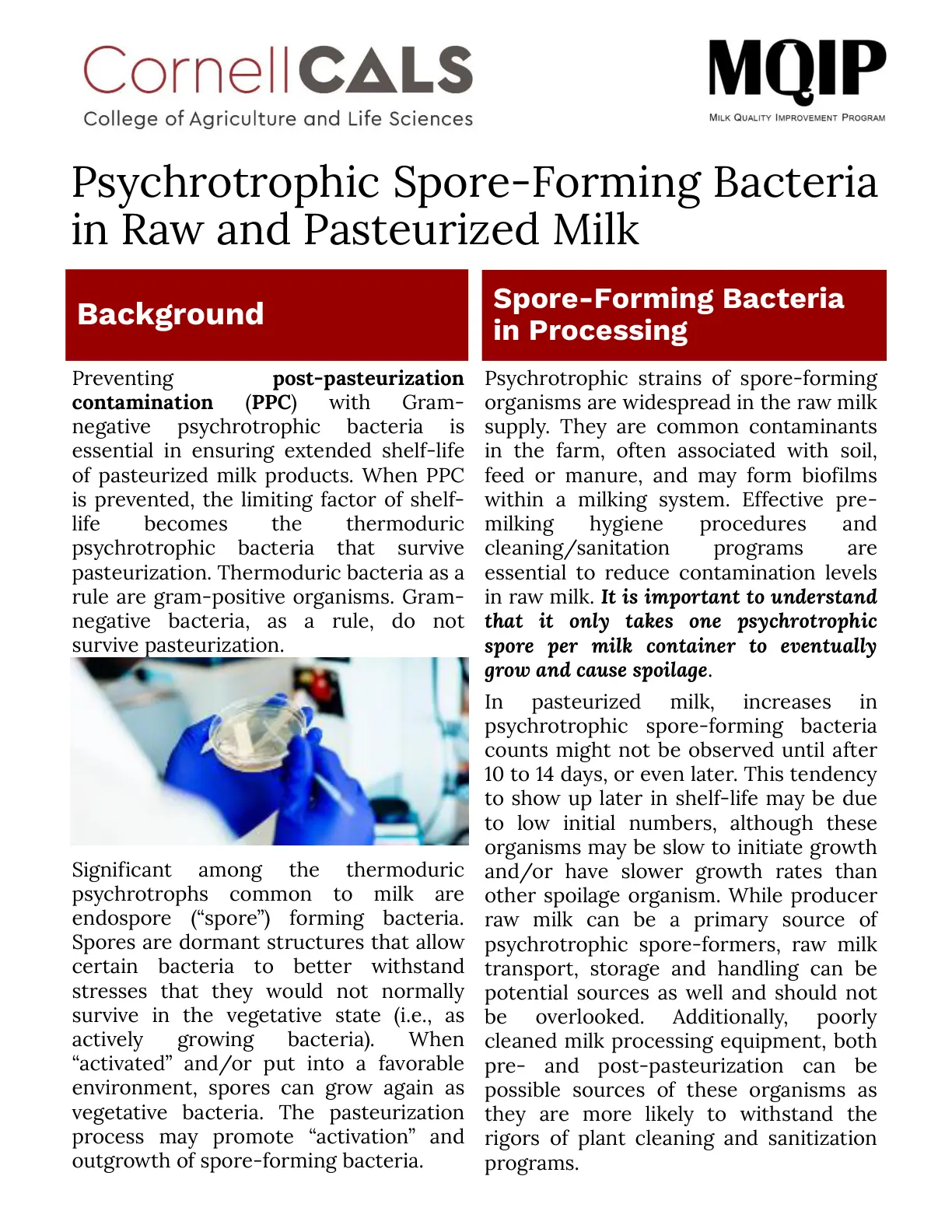 غلاف تقرير Psychrotrophic Spore-Forming Bacteria in Raw and Pasteurized Milk