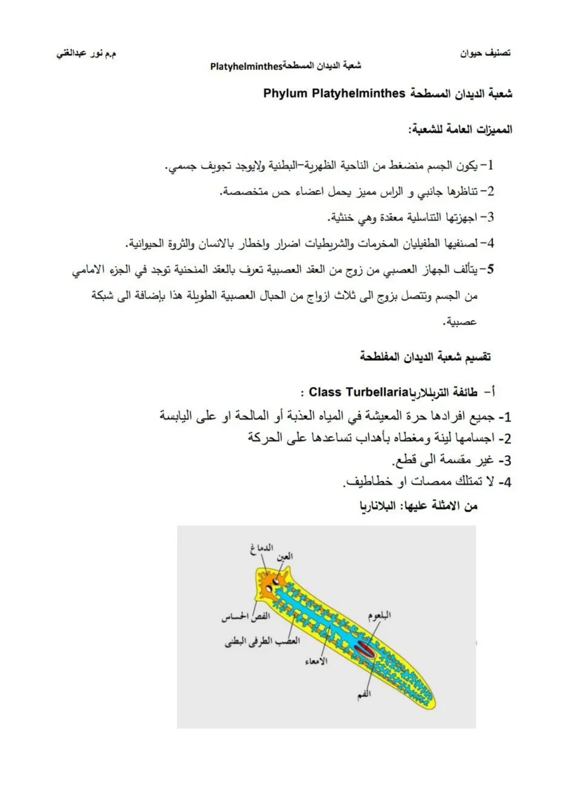 غلاف تقرير تصنيف حيوان - شعبة الديدان المسطحة Platyhelminthes