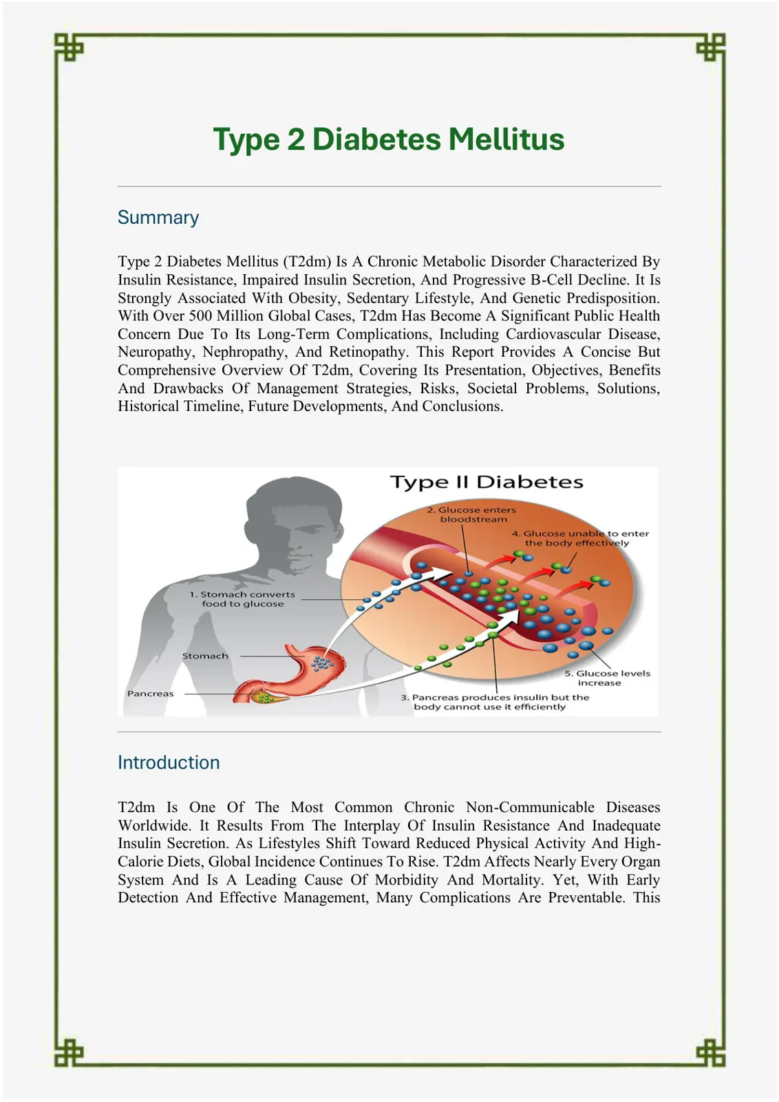 غلاف تقرير Type 2 Diabetes Mellitus Summary