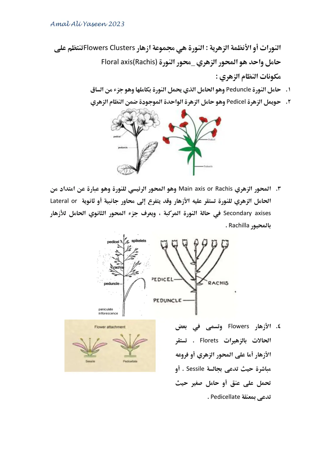 غلاف تقرير النورات أو الأنظمة الزهرية