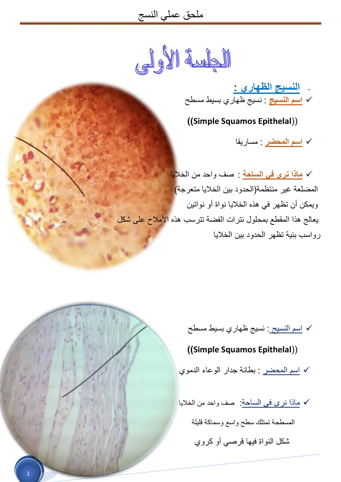 غلاف تقرير النسيج الظهاري