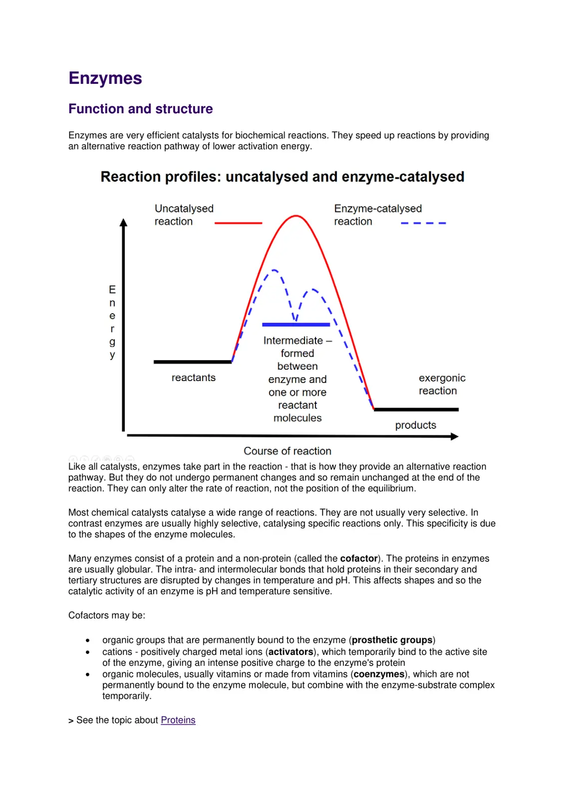 غلاف تقرير Enzymes Function and structure