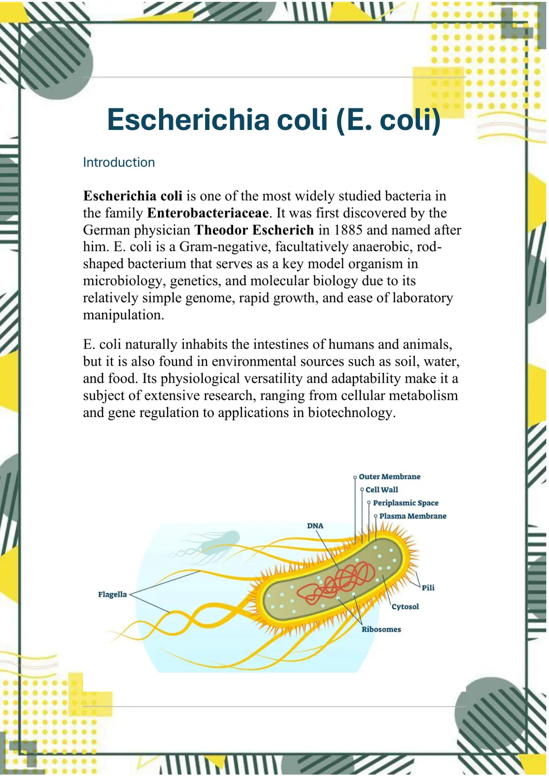غلاف تقرير Escherichia coli (E. coli)