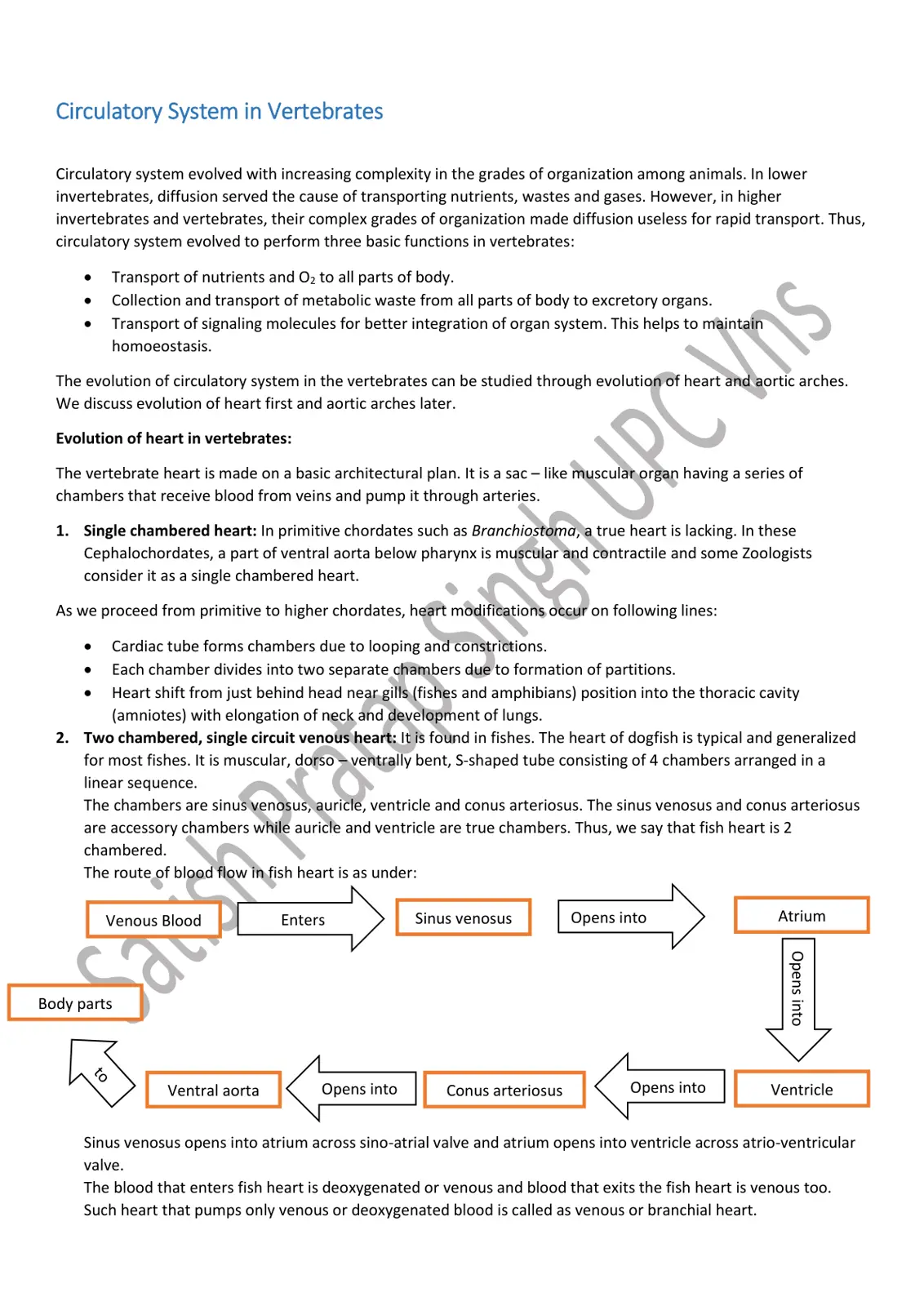غلاف تقرير Circulatory System in Vertebrates
