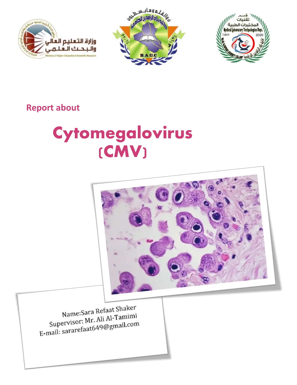 غلاف تقرير Report about Cytomegalovirus (CMV)