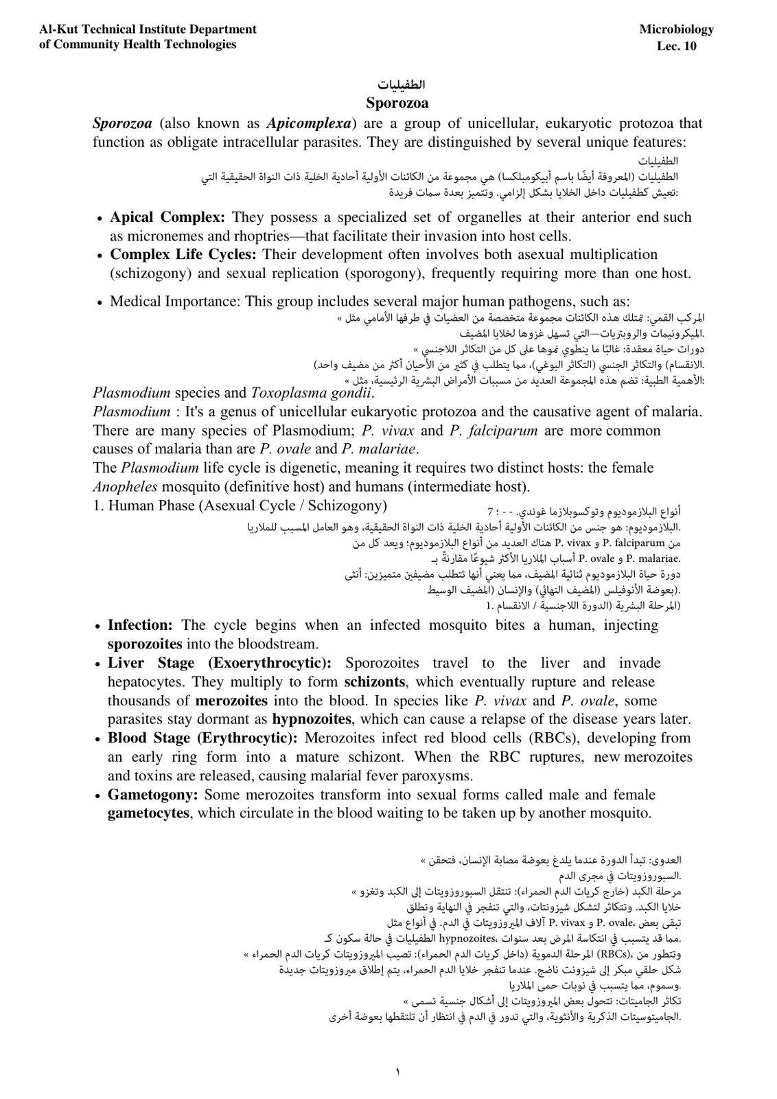 غلاف تقرير Sporozoa