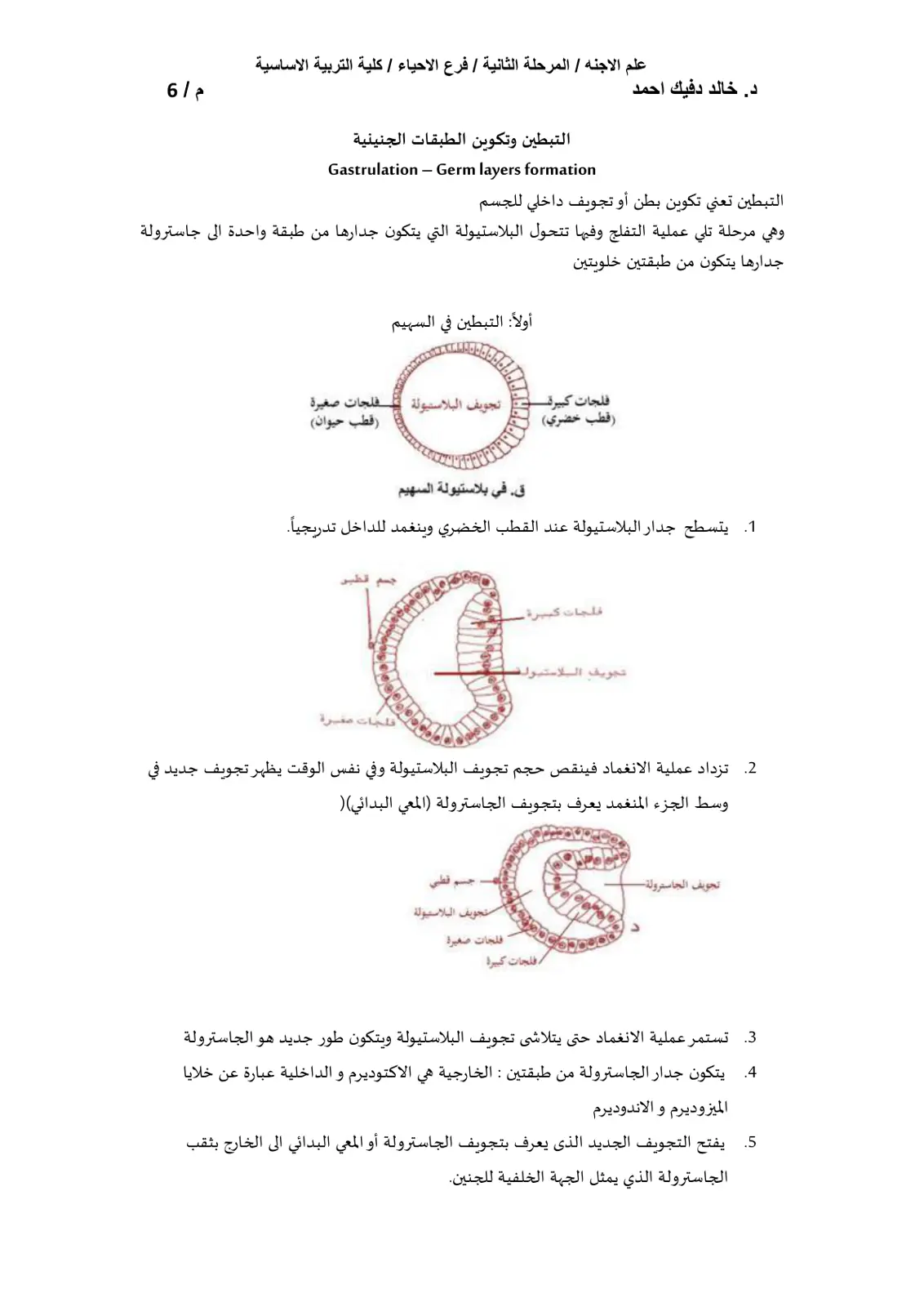 غلاف تقرير التبطين وتكوين الطبقات الجنينية Gastrulation - Germ layers formation