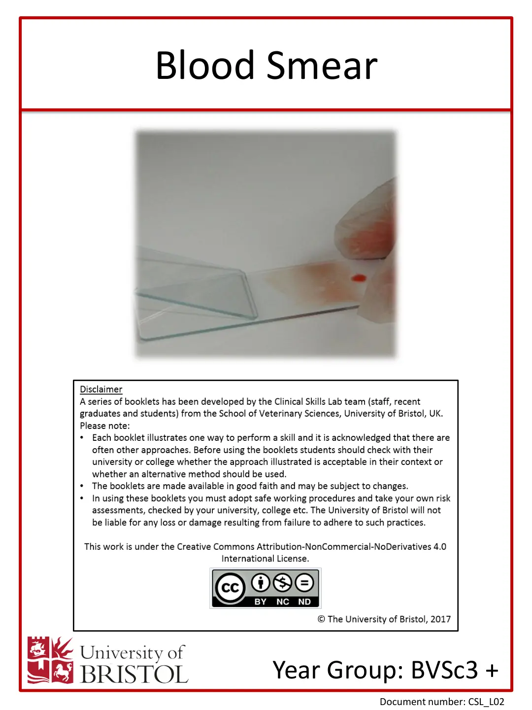 غلاف تقرير Blood Smear