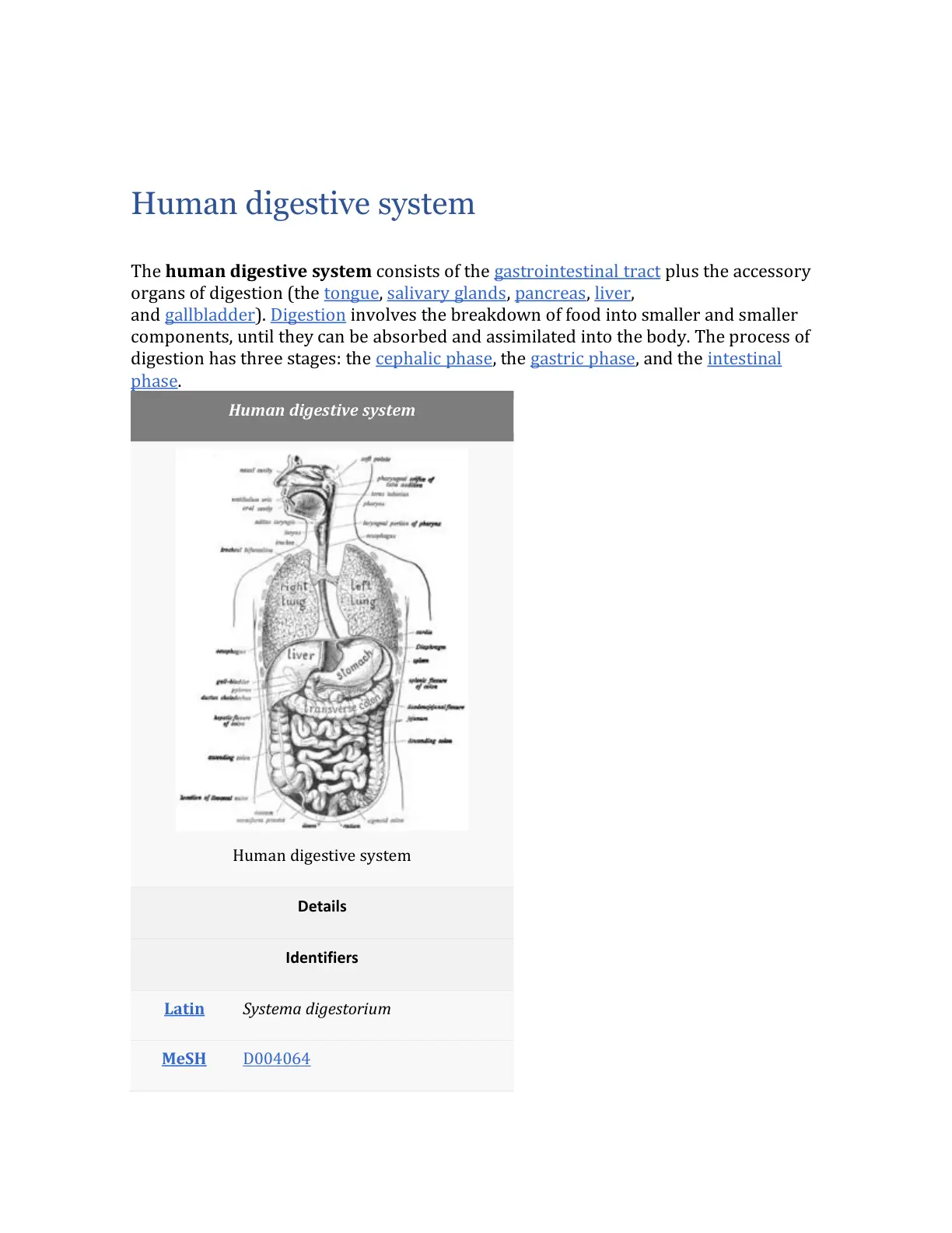 غلاف تقرير Human digestive system